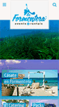 Mobile Screenshot of goformentera.com